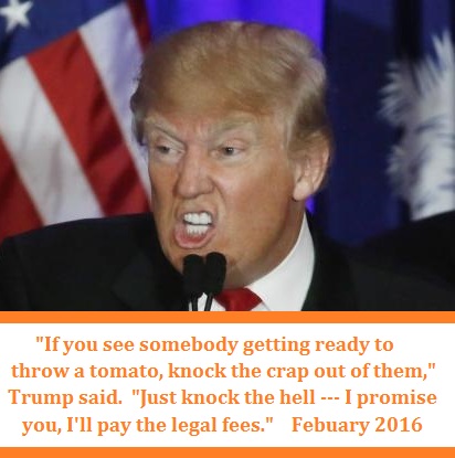 trump-tomato