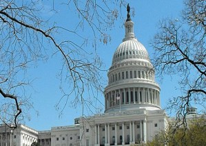 washington-d-c-and-environment